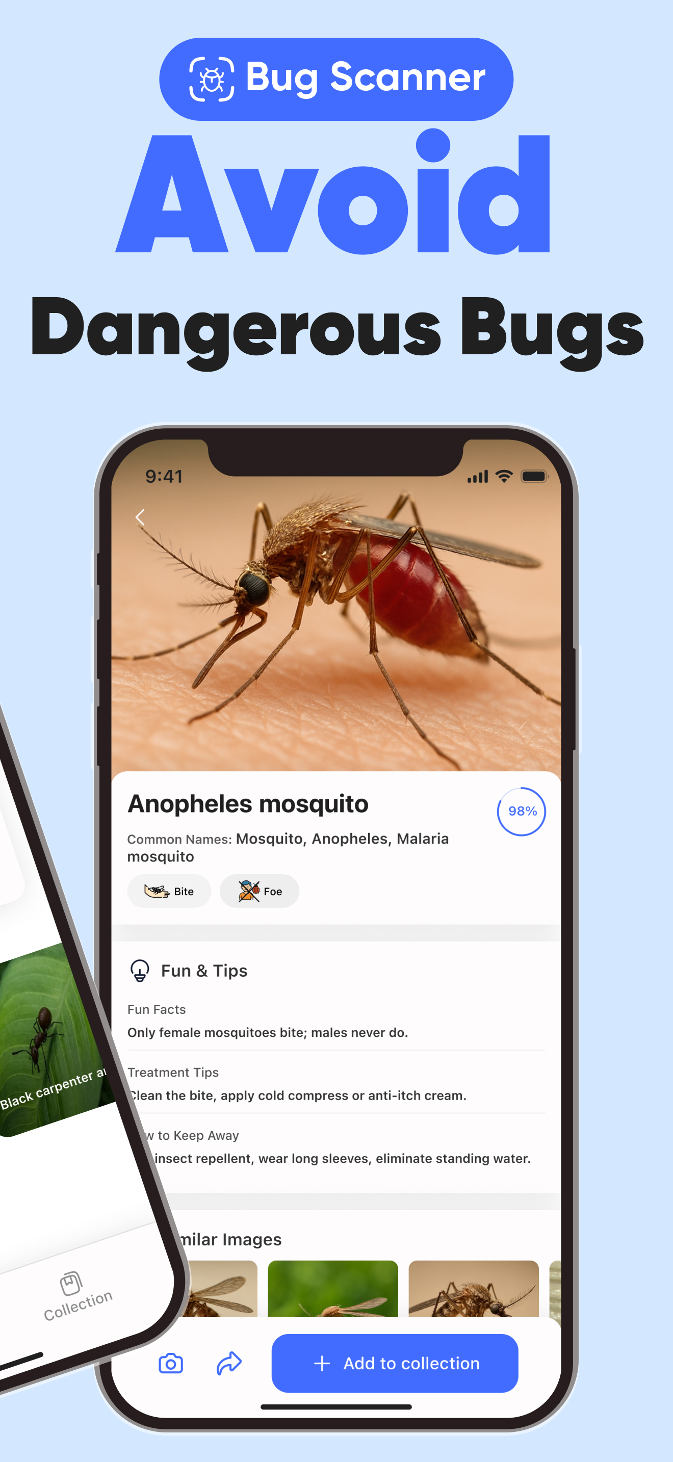 Insect Identifier Screenshot 2